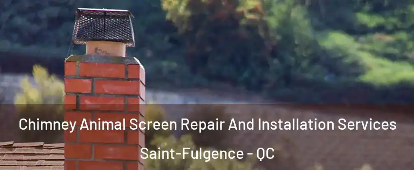 Chimney Animal Screen Repair And Installation Services Saint-Fulgence - QC