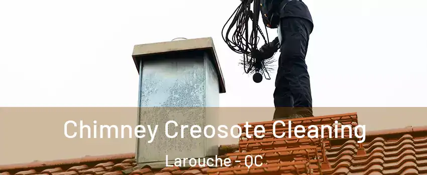 Chimney Creosote Cleaning Larouche - QC
