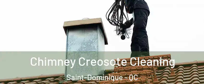 Chimney Creosote Cleaning Saint-Dominique - QC