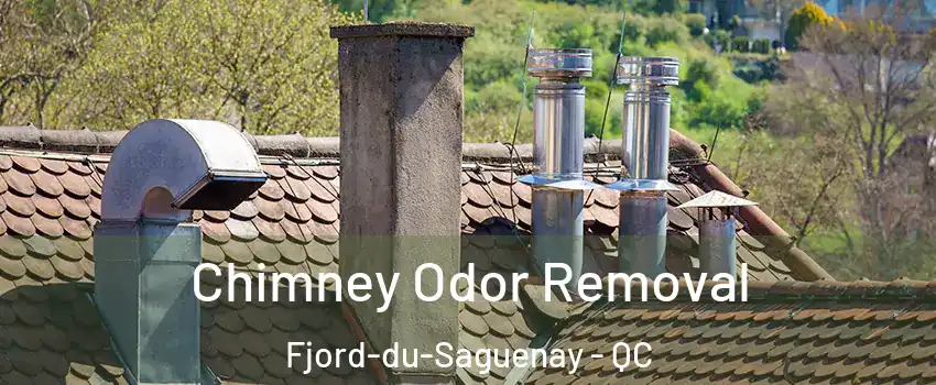 Chimney Odor Removal Fjord-du-Saguenay - QC