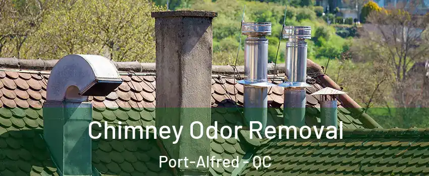 Chimney Odor Removal Port-Alfred - QC