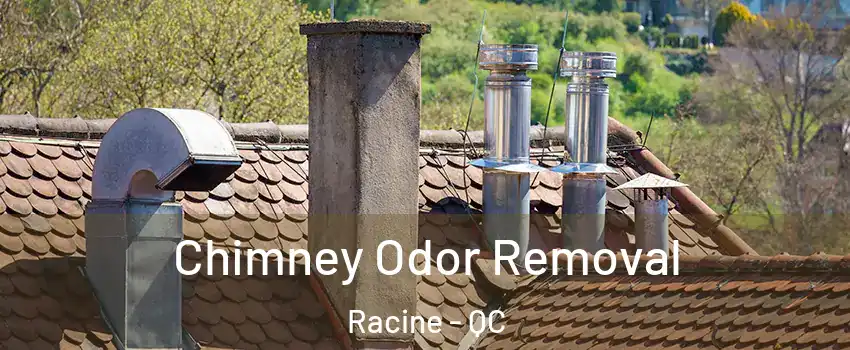 Chimney Odor Removal Racine - QC