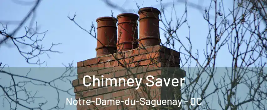 Chimney Saver Notre-Dame-du-Saguenay - QC