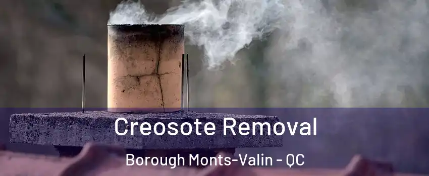 Creosote Removal Borough Monts-Valin - QC