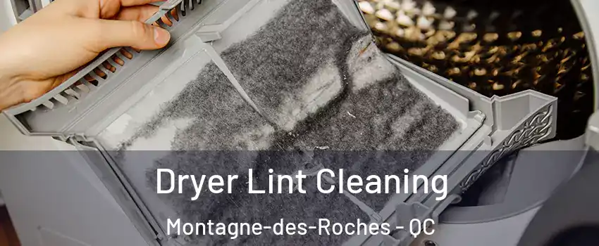 Dryer Lint Cleaning Montagne-des-Roches - QC