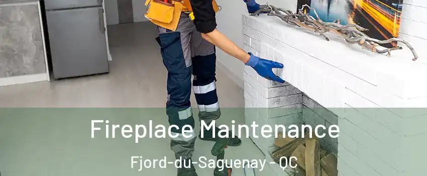 Fireplace Maintenance Fjord-du-Saguenay - QC