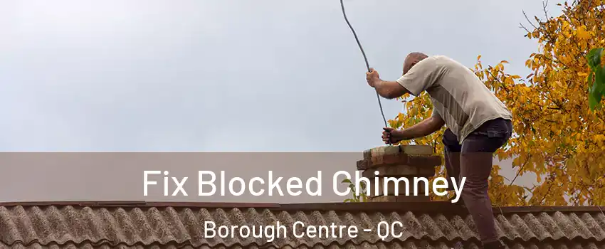 Fix Blocked Chimney Borough Centre - QC