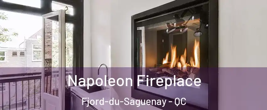 Napoleon Fireplace Fjord-du-Saguenay - QC